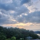 펜션 향 | 금산펜션 안스테이펜션금산펜션, 올편백 향 가득한 힐링 숙소 후기