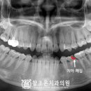 참조은치과의원 이미지