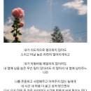 그냥봄날