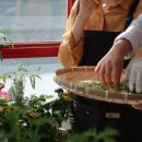 호호공방 이미지