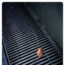 서원동-25 이미지