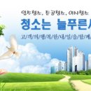 늘푸른세상