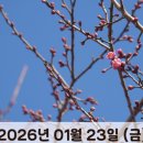 원동교통(주) 이미지