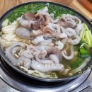 해왕낙지 이미지