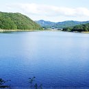 금광공인중개사사무소 이미지