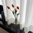 가림이 힐링 | [분당] 미금역 미용실 추천 메이원 헤어, 헤어 컨설팅 &amp; C컬펌 후기 ㅣ 가림 디자이너