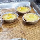 애견매니저 이미지