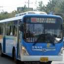 중앙동317 이미지