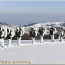 해병대 전 부대 새해맞이 행사 ‘선견·선수·선제’ 대비태세 확립 이미지