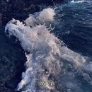 더다인 - 남구 대명로20길 37 | 더다인
