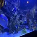 엄마가스상사 이미지