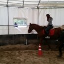 한솔승마장 이미지