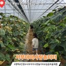 서부3길 이미지