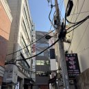 5821 | 광화문 룸식당 관호 광화문점 프리미엄 양고기 후기