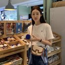 모다포니 이미지