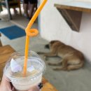 금오산촌가든식당 | 포카라 7일차 여행 코스｜치트완 → 포카라 이동·호텔 체크인·한식 맛집 ‘산촌다람쥐’ 솔직 방문기