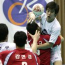 삼척시민체육관 실내체육관 이미지