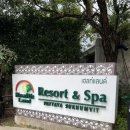 대해스파랜드 헬스 이미지