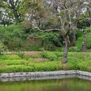 녹진관광지 | 일본 마쓰야마 여행 3일차 -2 / 동네 축제 즐기다가 도고 온천 별관 뜨끈녹진