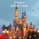 새승리식당 | 상하이 디즈니랜드 비 오는 날씨 혼자 방문 후기: 티켓 아깝지 않은 놀이기구 싱글라이더 꿀팁