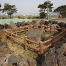 하모리-37 이미지