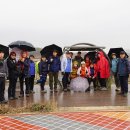 경기둘레길 시흥53코스 이미지