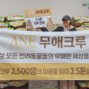 주식회사 나비야 이미지