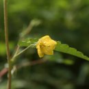 김삿갓어둔골 이미지