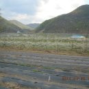 영구농장 이미지