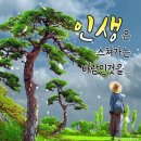 #️⃣통풍 퓨린이 높은 음식물? ✴️젊게 사는 노인들의 共通點 #️⃣당뇨 환자 권장 채소 3가지~ 이미지