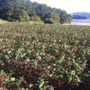 성배농장 이미지