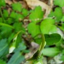 추동마을입구 이미지