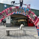 이천 마장 충전소 네이버블로그