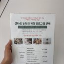 진주 농장 | 📍진주 [살라트앤올되다] - 도심에서 즐기는 농장, 샌드위치 반려식물 만들기 체험 후기