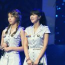 파이브돌스 카카오 검색결과