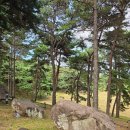 씨유 고창고인돌대로점 | [고창 2박3일] 고인돌박물관, 방장산자연휴양림