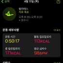 벚꽃포장마차 이미지