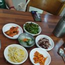 반송낙지 이미지