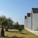 그날 오후 이미지