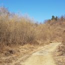 춘천공인중개사사무소 이미지