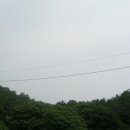 진광약국 이미지