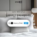 스테이 브라이튼 이미지