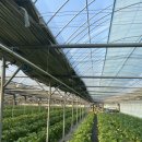 포시즌농장 이미지