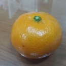 흑토랑농장 이미지