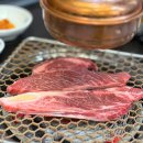 예천목장 | 서산맛집 투뿔목장/ 서산 목장정육점 소고기맛집 한우정육식당