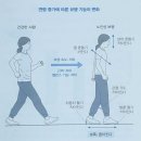 백세인생, 항노화 스포츠 | [187번째] 넘어지지만 않아도 오래 살 수 있다