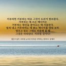 눈부신하루를 Daum카페