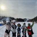 휘닉스 파크 이미지