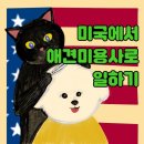 미국에서 애견미용사로 일하기 | 해외취업 궁금한 분들은 반드시 보세요