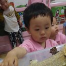 해성어린이집 이미지